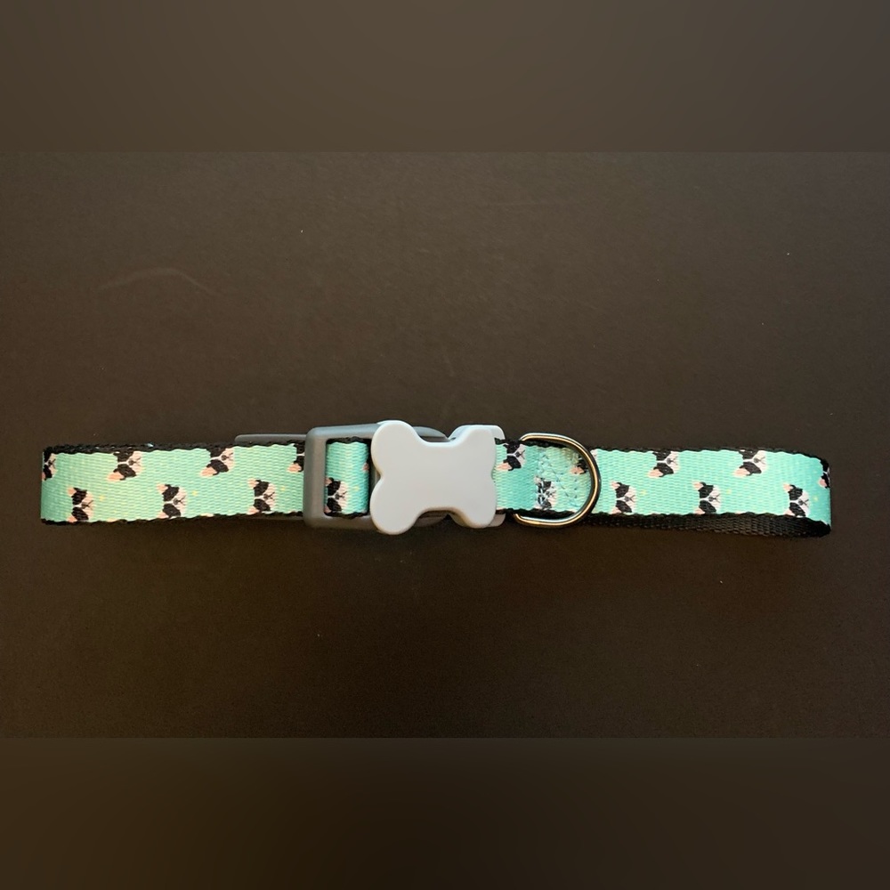 My doggie bulldog collar